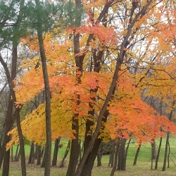 Bluff Country Photography, Photographer, Barb Jeffers, Southeast Minnesota, Lanesboro, Preston, Whalan, Harmony, Mabel, Spring Valley, Wykoff, Chatfield, Peterson, Rushford, Houston, Fillmore County, Rochester, Weddings, Graduation, Family, Baby, Babies, Pets, Scenic, Country, Commercial, Professional, Brochures, Visitor Guides, Tourism, Town Events, Buffalo Bill Days, Maternity, Photo Booth, Sports, Pictures, Albums, Portfolio, Wildlife, Arts, Prints, Abstract, Studio, Props, kids, toddlers, infants, couples, engagement, announcement
