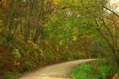 Bluff Country Photography, Photographer, Barb Jeffers, Southeast Minnesota, Lanesboro, Preston, Whalan, Harmony, Mabel, Spring Valley, Wykoff, Chatfield, Peterson, Rushford, Houston, Fillmore County, Rochester, Weddings, Graduation, Family, Baby, Babies, Pets, Scenic, Country, Commercial, Professional, Brochures, Visitor Guides, Tourism, Town Events, Buffalo Bill Days, Maternity, Photo Booth, Sports, Pictures, Albums, Portfolio, Wildlife, Arts, Prints, Abstract, Studio, Props, kids, toddlers, infants, couples, engagement, announcement