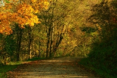 Bluff Country Photography, Photographer, Barb Jeffers, Southeast Minnesota, Lanesboro, Preston, Whalan, Harmony, Mabel, Spring Valley, Wykoff, Chatfield, Peterson, Rushford, Houston, Fillmore County, Rochester, Weddings, Graduation, Family, Baby, Babies, Pets, Scenic, Country, Commercial, Professional, Brochures, Visitor Guides, Tourism, Town Events, Buffalo Bill Days, Maternity, Photo Booth, Sports, Pictures, Albums, Portfolio, Wildlife, Arts, Prints, Abstract, Studio, Props, kids, toddlers, infants, couples, engagement, announcement