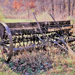 Bluff Country Photography, Photographer, Barb Jeffers, Southeast Minnesota, Lanesboro, Preston, Whalan, Harmony, Mabel, Spring Valley, Wykoff, Chatfield, Peterson, Rushford, Houston, Fillmore County, Rochester, Weddings, Graduation, Family, Baby, Babies, Pets, Scenic, Country, Commercial, Professional, Brochures, Visitor Guides, Tourism, Town Events, Buffalo Bill Days, Maternity, Photo Booth, Sports, Pictures, Albums, Portfolio, Wildlife, Arts, Prints, Abstract, Studio, Props, kids, toddlers, infants, couples, engagement, announcement