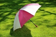 Bluff Country Photography, Photographer, Barb Jeffers, Southeast Minnesota, Lanesboro, Preston, Whalan, Harmony, Mabel, Spring Valley, Wykoff, Chatfield, Peterson, Rushford, Houston, Fillmore County, Rochester, Weddings, Graduation, Family, Baby, Babies, Pets, Scenic, Country, Commercial, Professional, Brochures, Visitor Guides, Tourism, Town Events, Buffalo Bill Days, Maternity, Photo Booth, Sports, Pictures, Albums, Portfolio, Wildlife, Arts, Prints, Abstract, Studio, Props, kids, toddlers, infants, couples, engagement, announcement