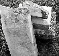 Bluff Country Photography, Photographer, Barb Jeffers, Southeast Minnesota, Lanesboro, Preston, Whalan, Harmony, Mabel, Spring Valley, Wykoff, Chatfield, Peterson, Rushford, Houston, Fillmore County, Rochester, Weddings, Graduation, Family, Baby, Babies, Pets, Scenic, Country, Commercial, Professional, Brochures, Visitor Guides, Tourism, Town Events, Buffalo Bill Days, Maternity, Photo Booth, Sports, Pictures, Albums, Portfolio, Wildlife, Arts, Prints, Abstract, Studio, Props, kids, toddlers, infants, couples, engagement, announcement