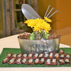 IMG_2035 resized to 1000 x 666