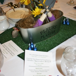 IMG_2047 resized to 1000x1500px