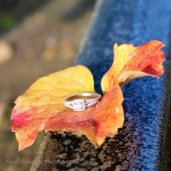 Bluff Country Photography -  Engagement Photos