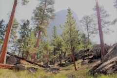 Scenery