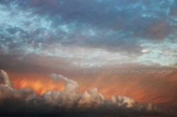 Barb-Jeffers-photo-submission3-Art-in-the-Park-2022
