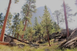Bluff-Country-Photography-Nature-1