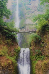 Bluff-Country-Photography-Nature-3